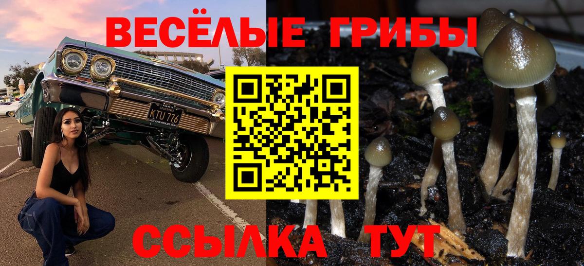 Галлюциногенные грибы MAGIC MUSHROOMS  Вход с VPN  где продают наркотики  Кыштым 